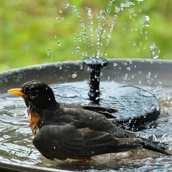Water Bloom ™