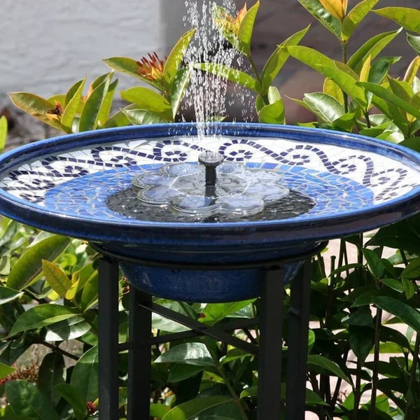 Water Bloom ™